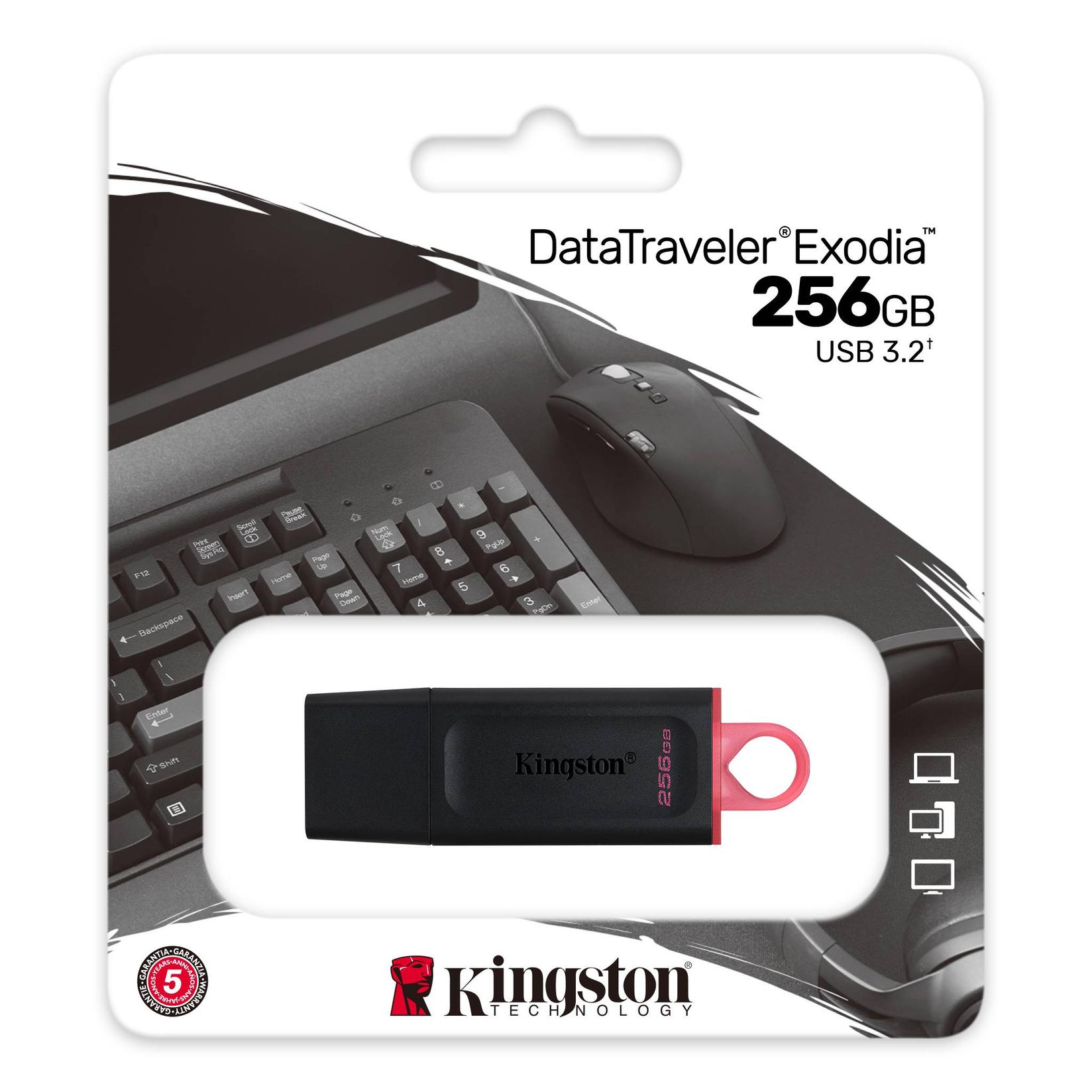 Kingston DTX/256GB USB fleš memorija, 256 GB, crna