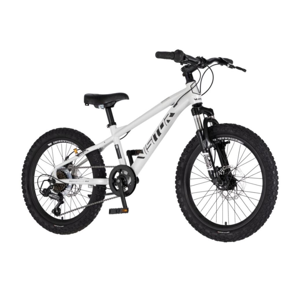 Visitor Bicikl za djecu Cascade, 20", Sivo-bijeli