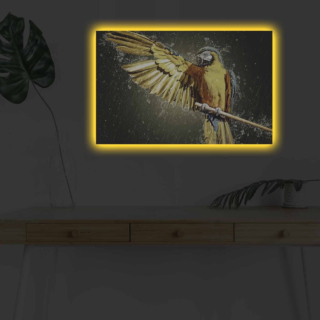 Zidna slika sa LED osvjetljenjem 4570DHDACT-062, 45x70 cm