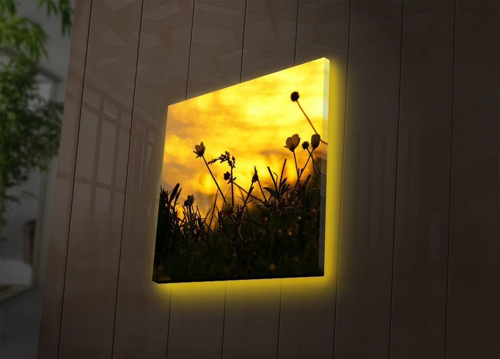Zidna slika sa LED osvetljenjem 4040DACT-52, 40x40 cm