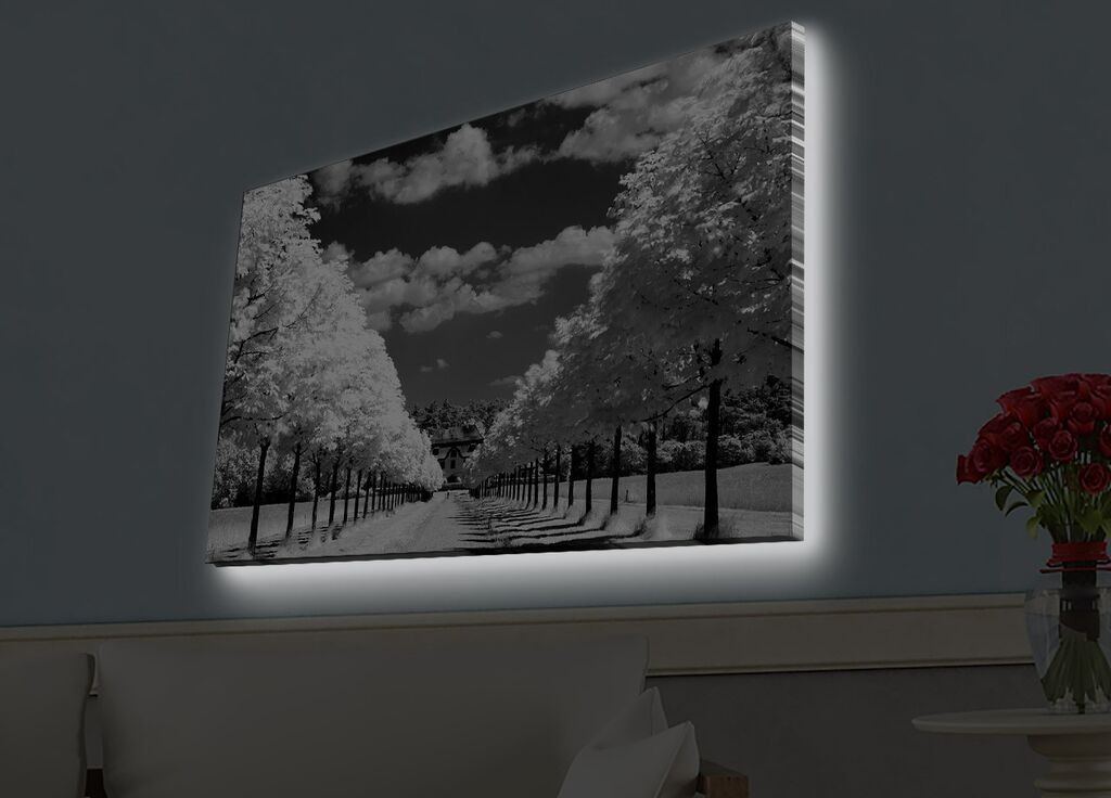 Zidna slika sa LED osvetljenjem 4570HDACT-029, 45x70 cm