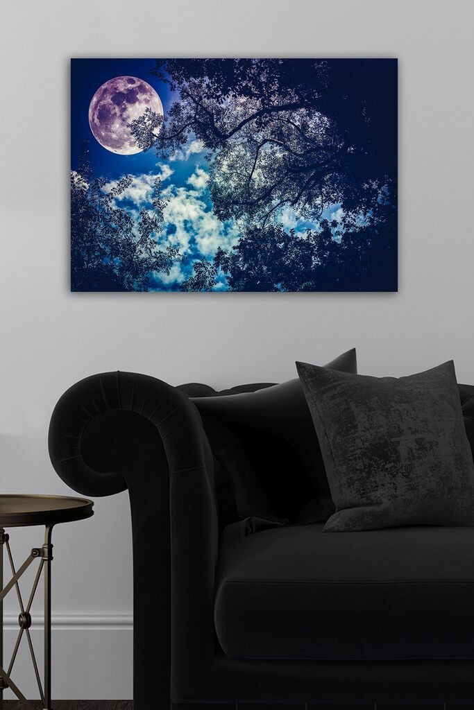 Slika Wallity 510249208, 50x70 cm