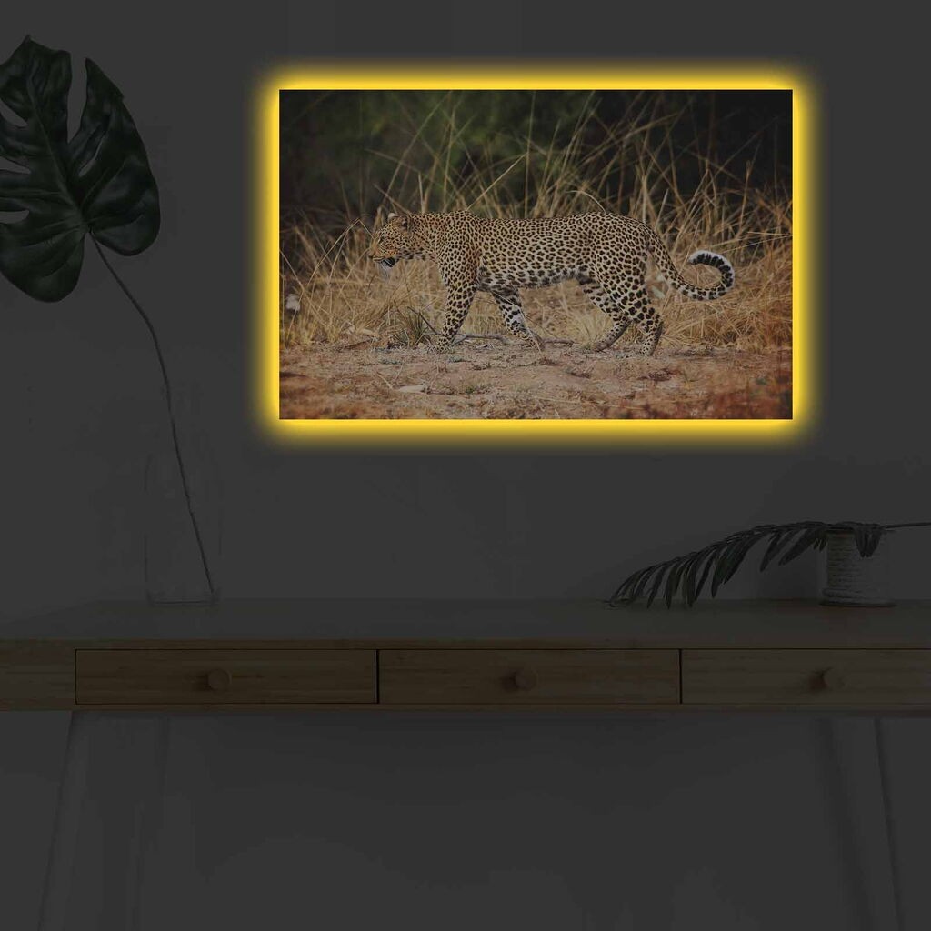 Zidna slika sa LED osvetljenjem 4570DHDACT-091, 45x70 cm