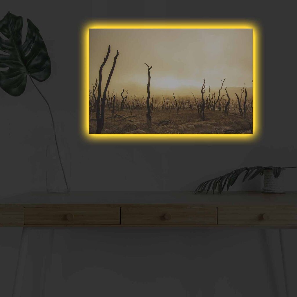 Zidna slika sa LED osvetljenjem 4570DHDACT-073, 45x70 cm