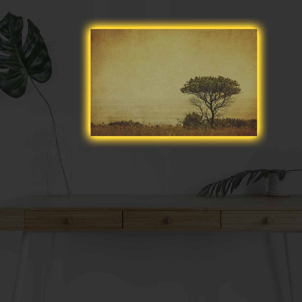 Zidna slika sa LED osvetljenjem 4570DHDACT-147, 45x70 cm