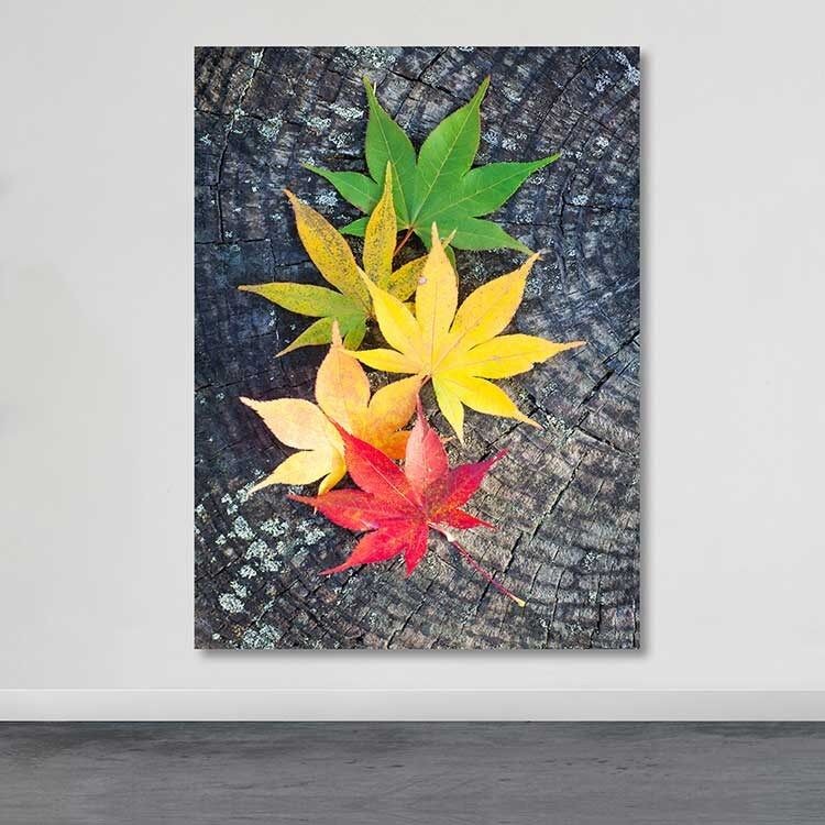 Slika Wallity DEV02842100140, 100x140 cm