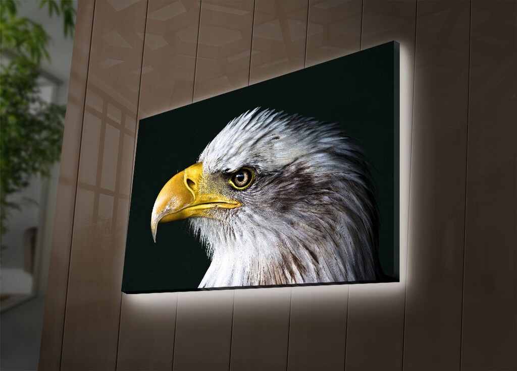 Zidna slika sa LED osvetljenjem 4570DACT-63, 45x70 cm