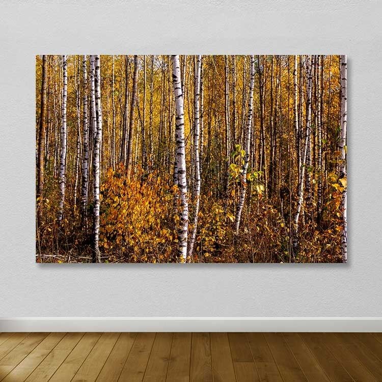 Slika Wallity DEV02495100140, 100x140 cm