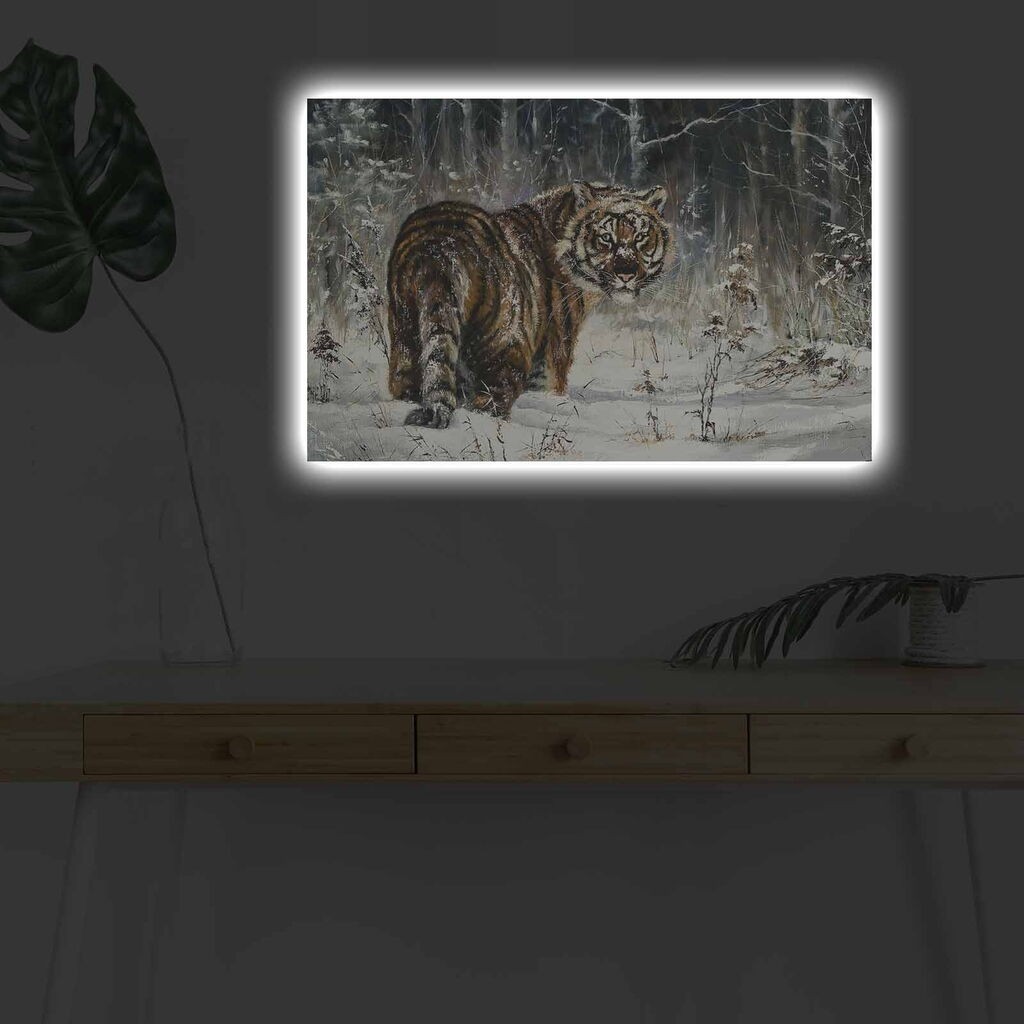 Zidna slika sa LED osvjetljenjem 4570DHDACT-056, 45x70 cm