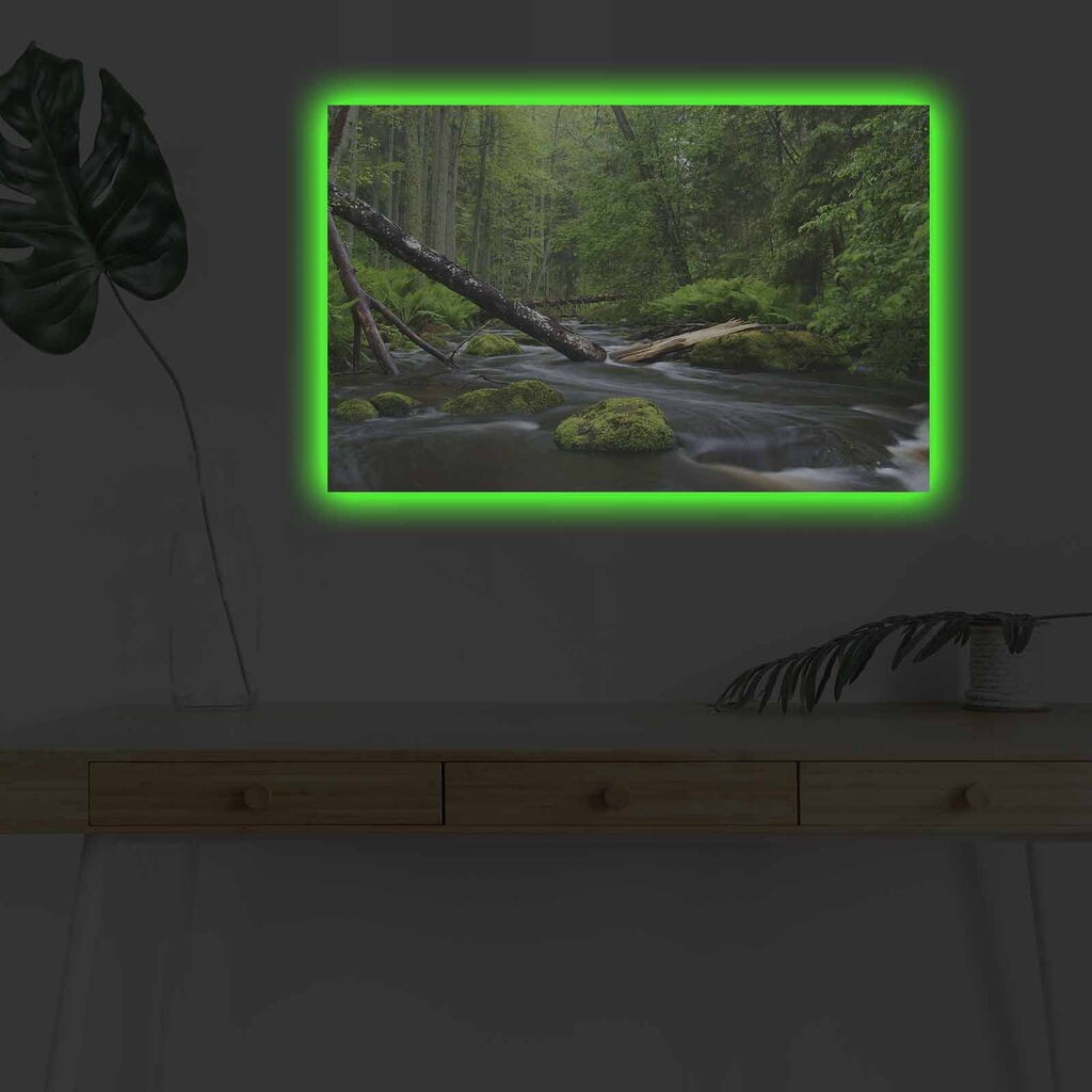 Zidna slika sa LED osvjetljenjem 4570DHDACT-003, 45x70 cm