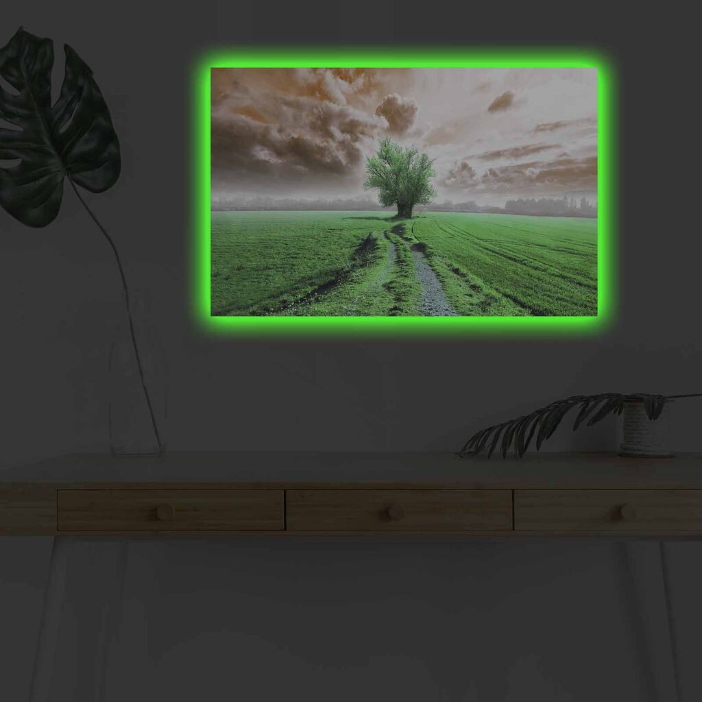 Zidna slika sa LED osvetljenjem 4570DHDACT-103, 45x70 cm