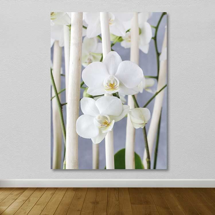 Slika na zidu DEV03197100140, 100x140 cm