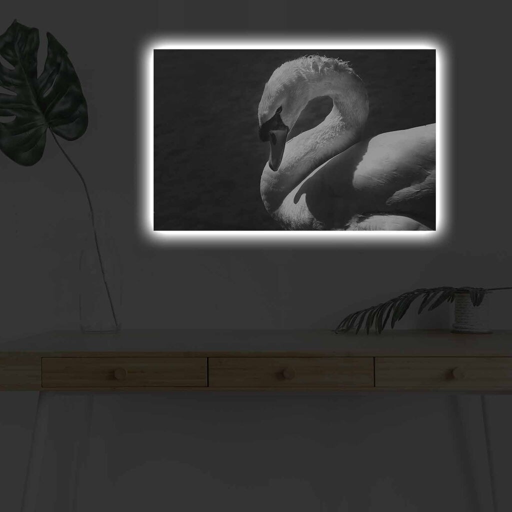 Zidna slika sa LED osvetljenjem 4570DHDACT-051, 45x70 cm
