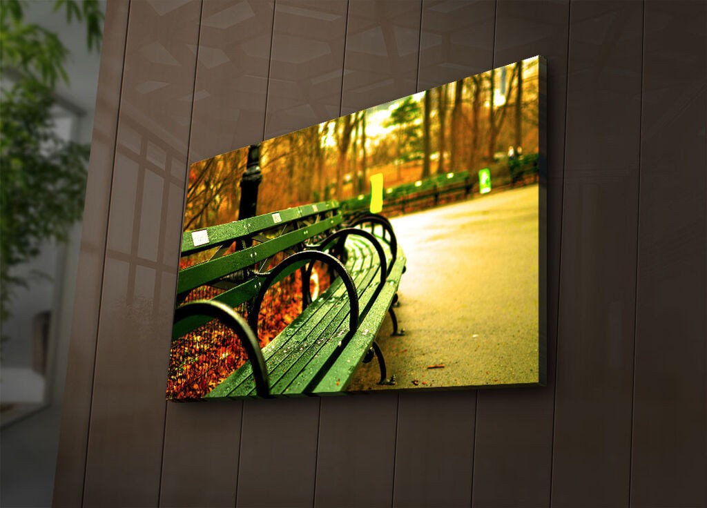 Zidna slika sa LED osvetljenjem 4570IACT-71, 45x70 cm