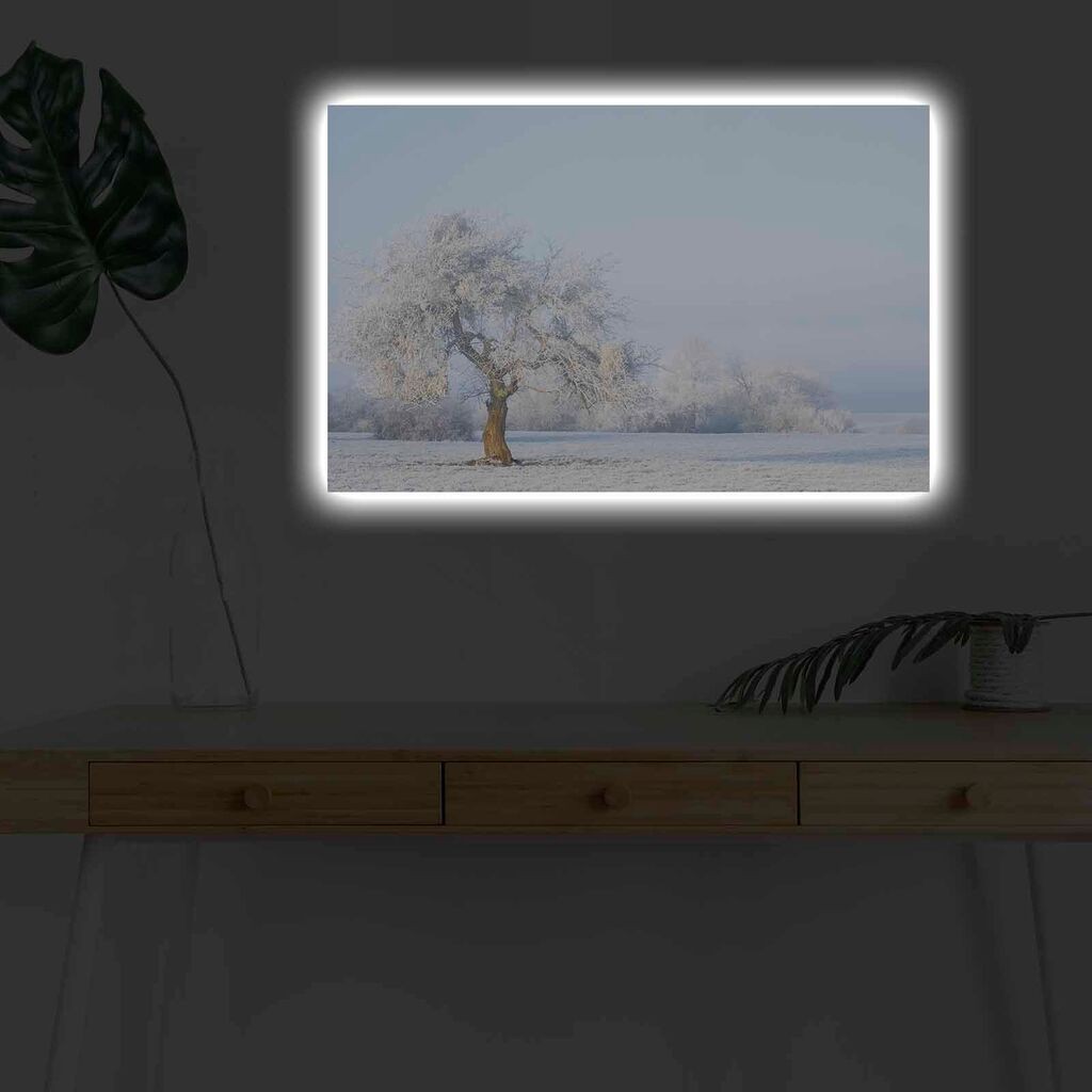 Zidna slika sa LED osvjetljenjem 4570KARDACT - 010, 45x70 cm