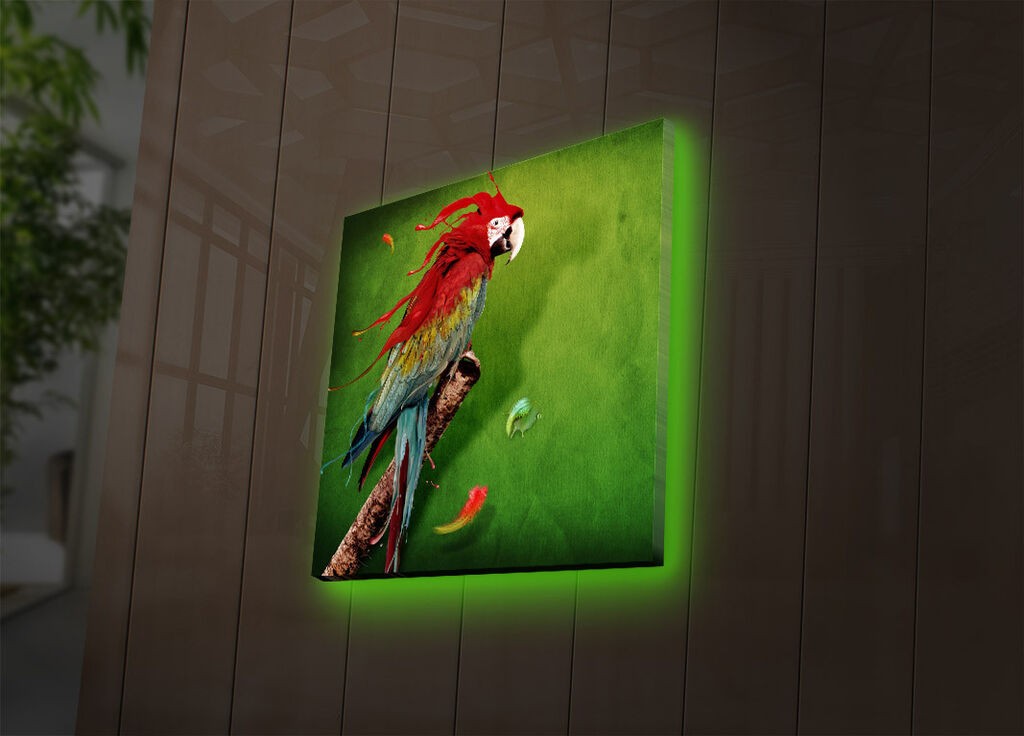 Zidna slika sa LED osvetljenjem 4040DACT-44, 40x40 cm