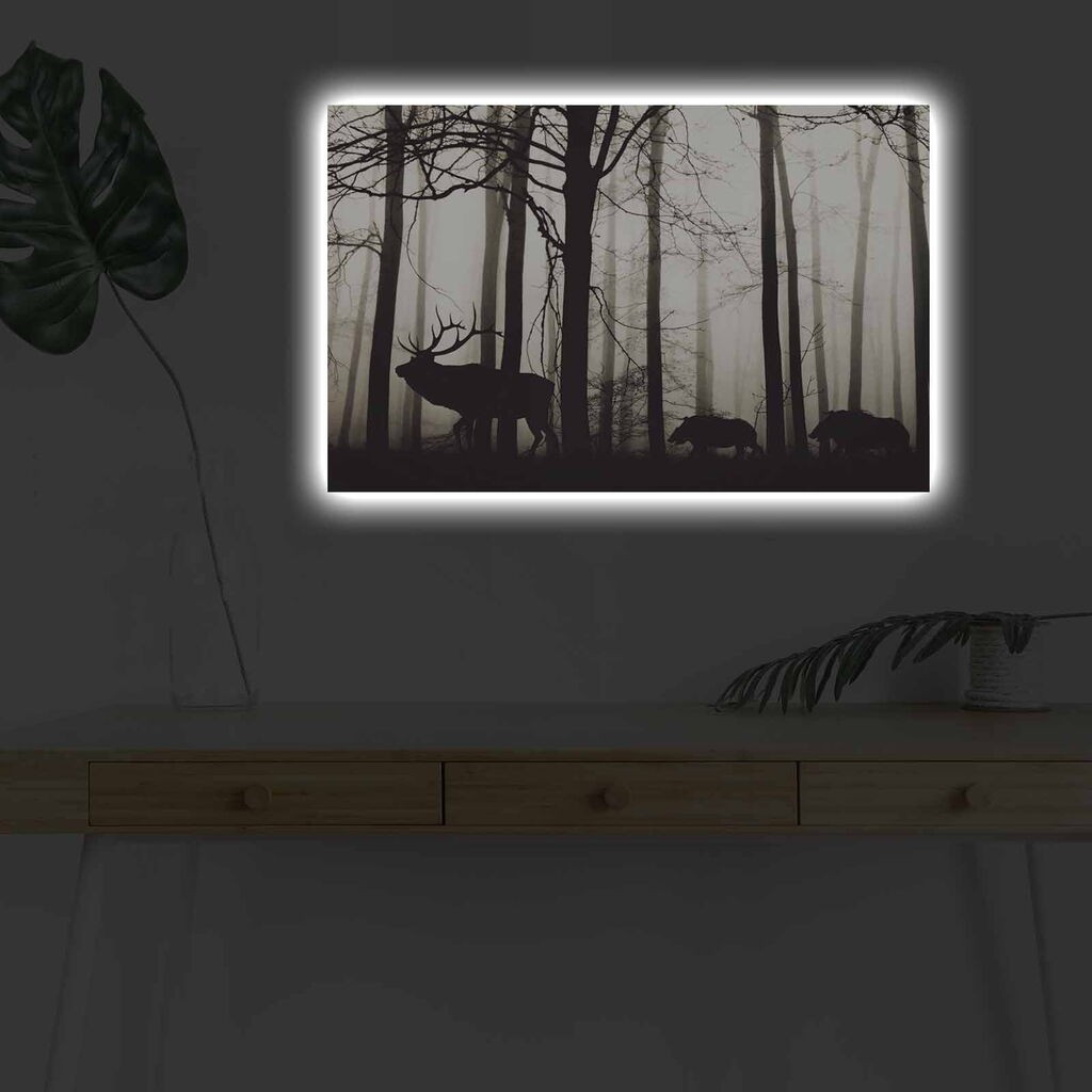 Zidna slika sa LED osvetljenjem 4570DHDACT-080, 45x70 cm