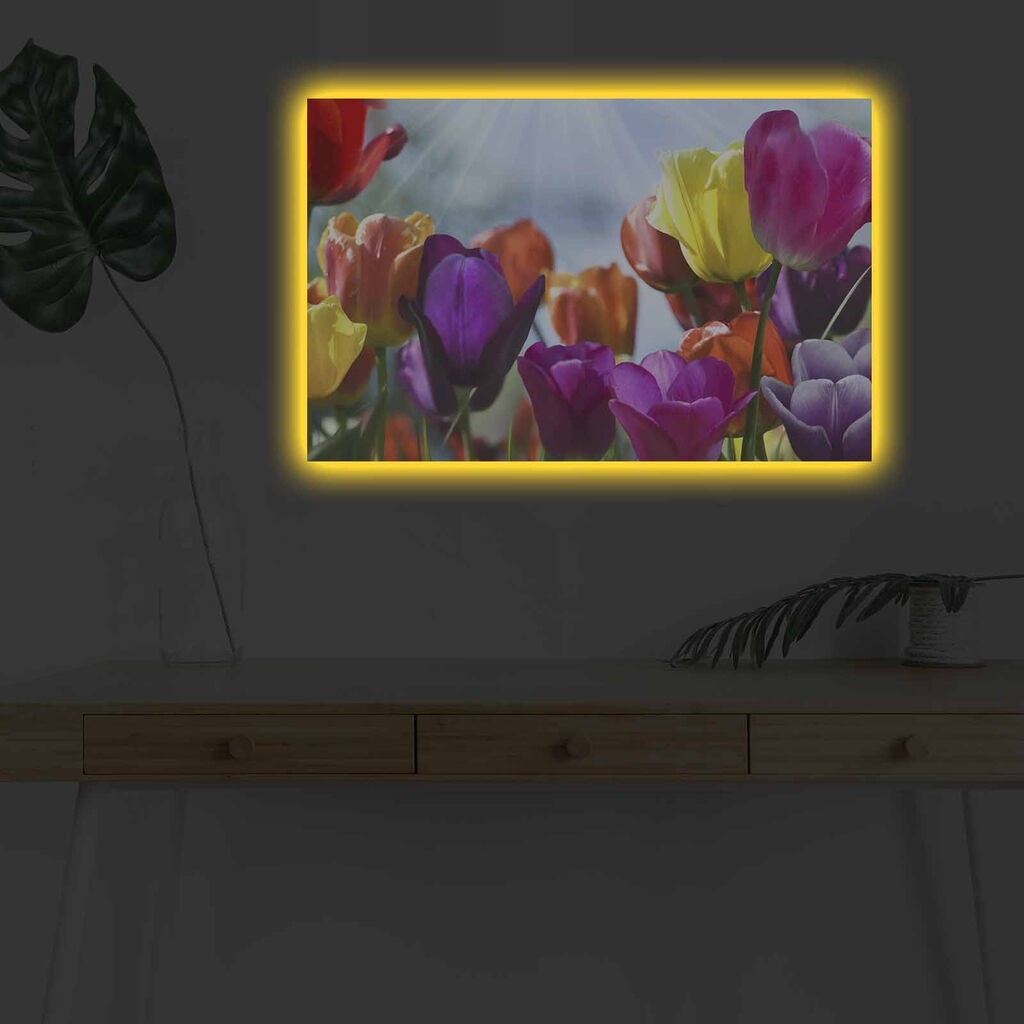 Zidna slika sa LED osvjetljenjem 4570DHDACT-042, 45x70 cm
