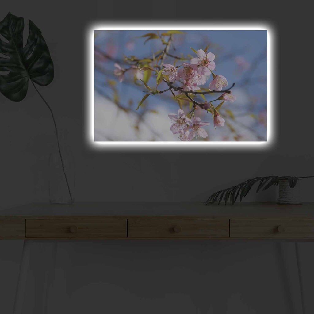 Zidna slika sa LED osvjetljenjem 4570DHDACT-032, 45x70 cm