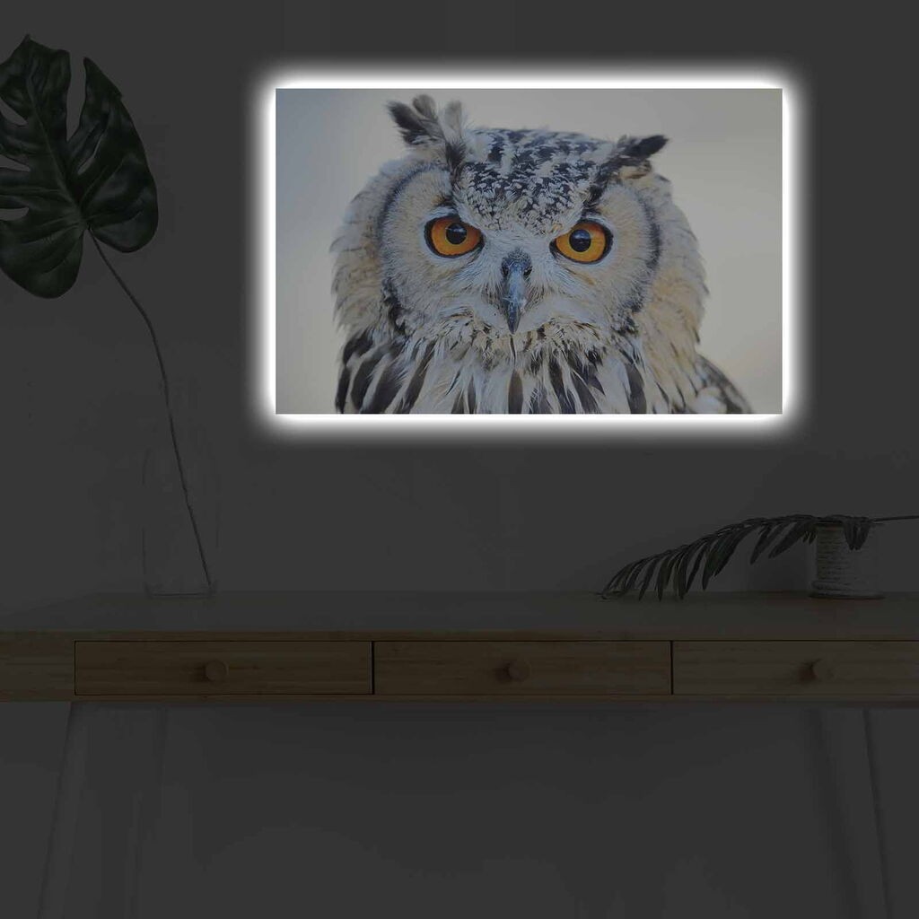 Zidna slika sa LED osvjetljenjem 4570DHDACT-142, 45x70 cm