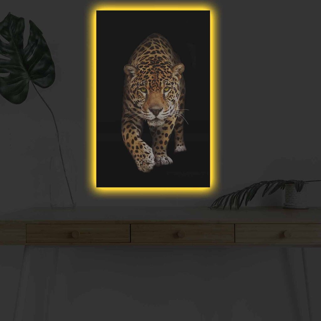 Zidna slika sa LED osvetljenjem 4570DHDACT-055, 45x70 cm