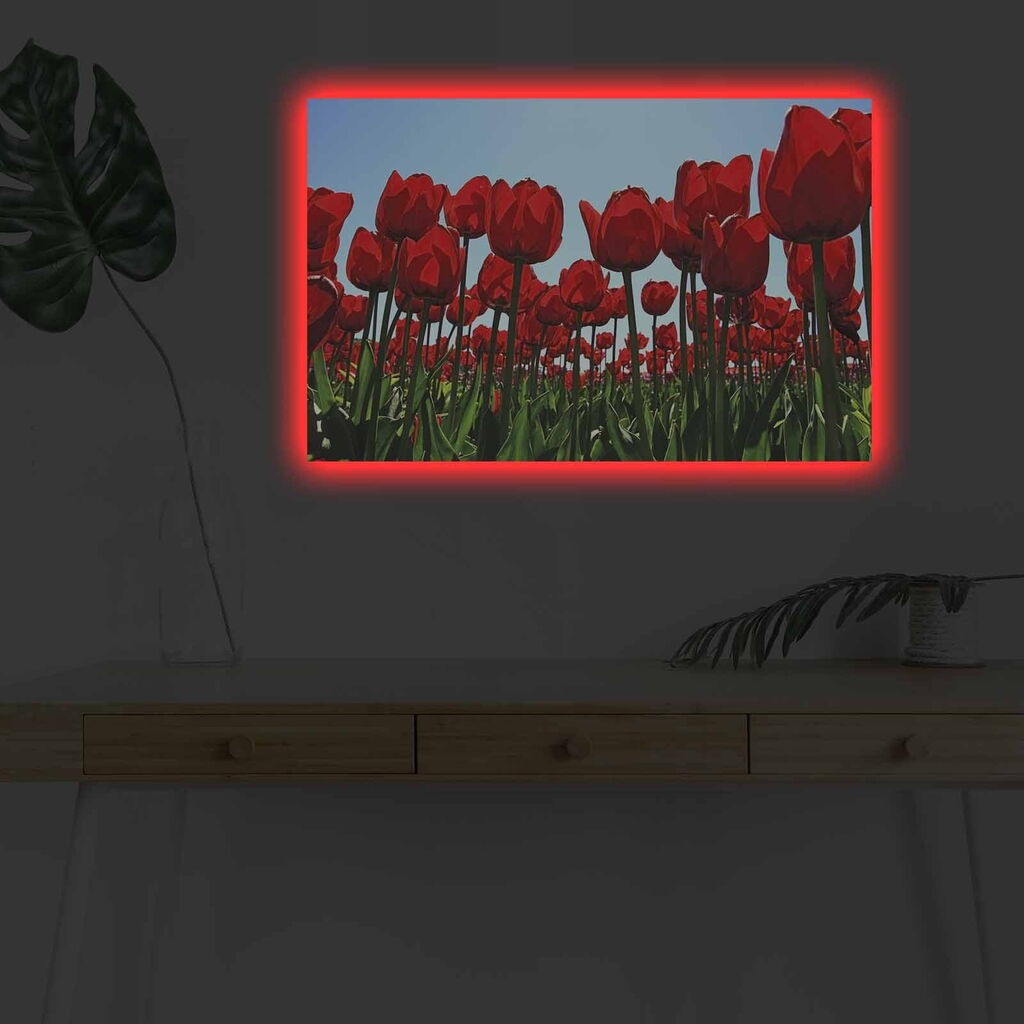 Zidna slika sa LED osvetljenjem 4570DHDACT-036, 45x70 cm