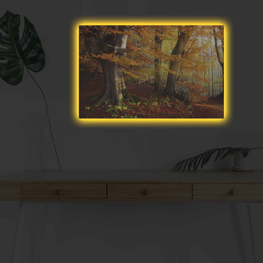 Zidna slika sa LED osvetljenjem 4570DHDACT-151, 45x70 cm
