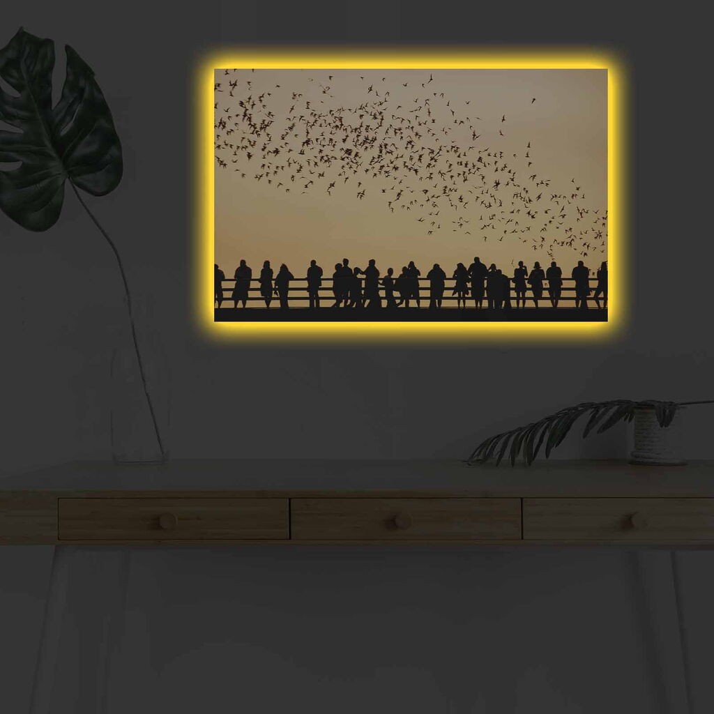 Zidna slika sa LED osvjetljenjem 4570DHDACT-040, 45x70 cm