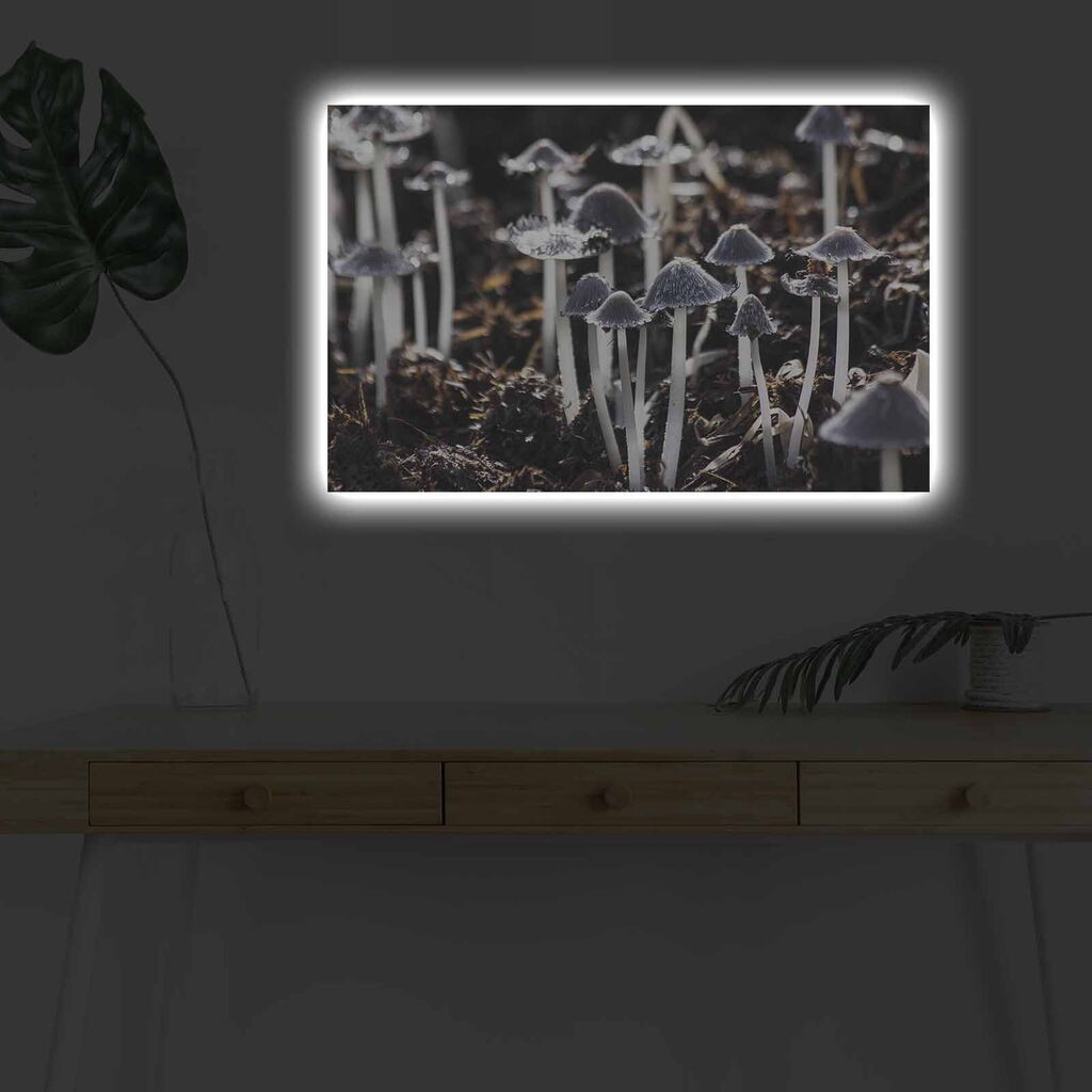 Zidna slika sa LED osvetljenjem 4570DHDACT-135, 45x70 cm