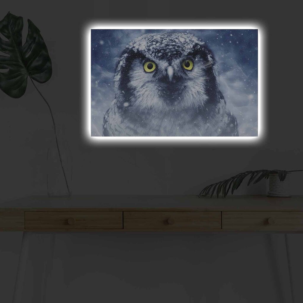 Zidna slika sa LED osvjetljenjem 4570DHDACT-070, 45x70 cm