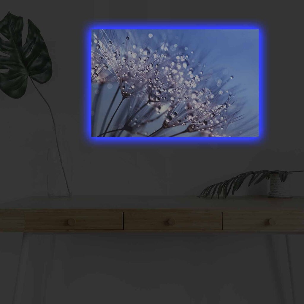 Zidna slika sa LED osvjetljenjem 4570DHDACT-072, 45x70 cm