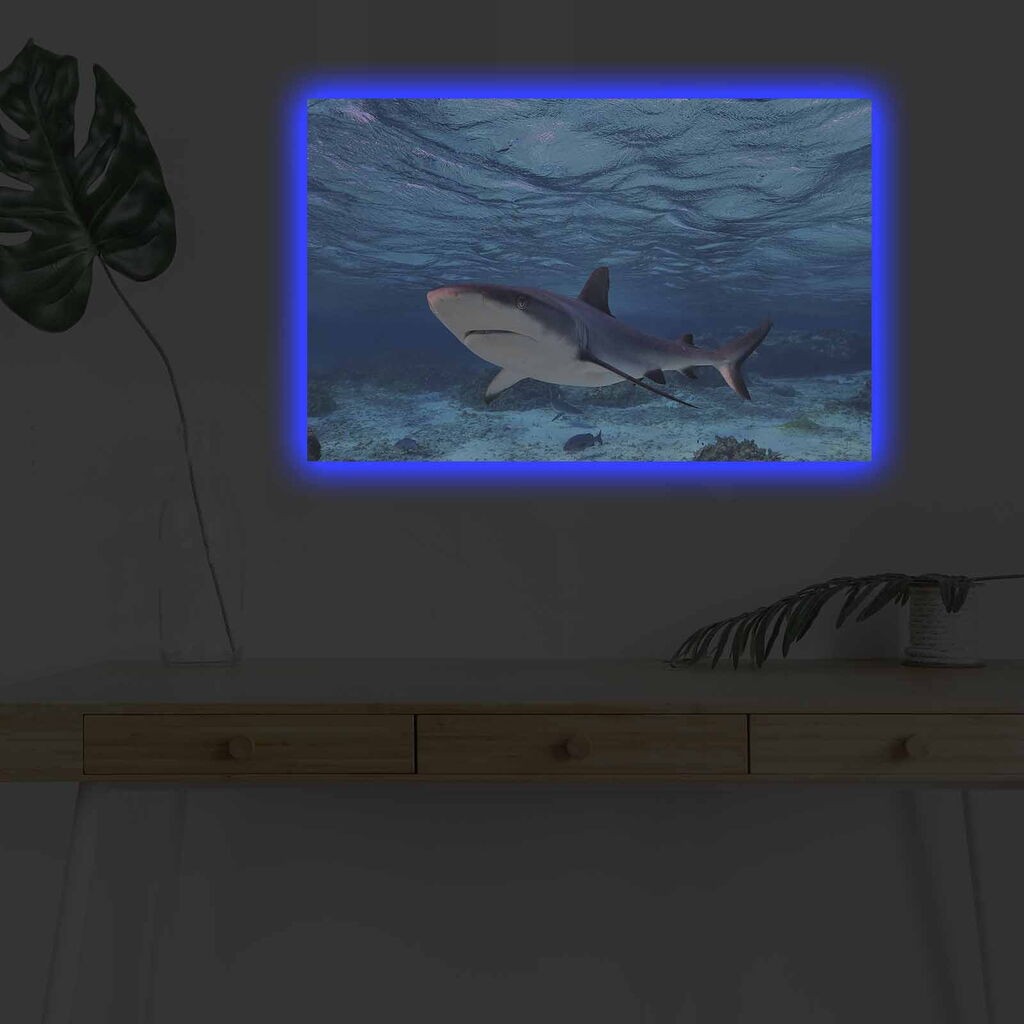 Zidna slika sa LED osvetljenjem 4570DHDACT-030, 45x70 cm