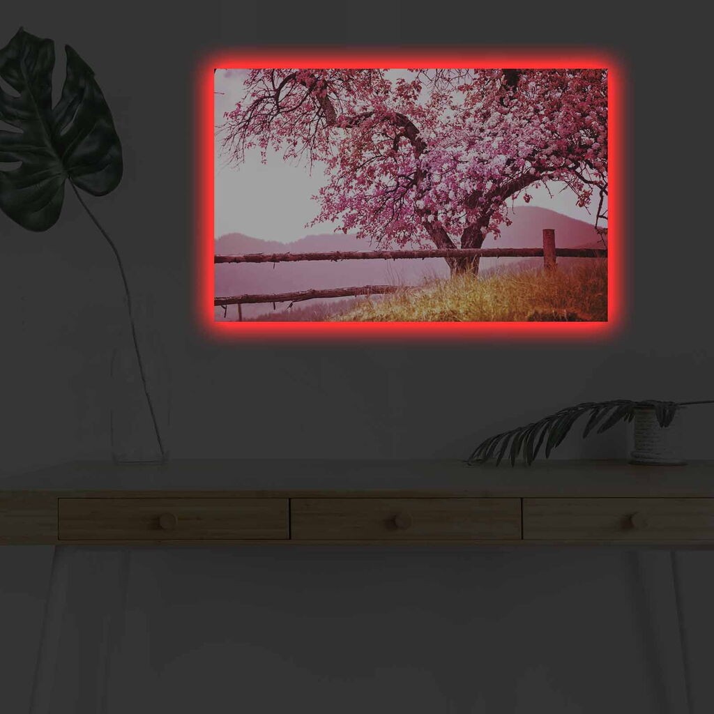 Zidna slika sa LED osvetljenjem 4570DHDACT-160, 45x70 cm