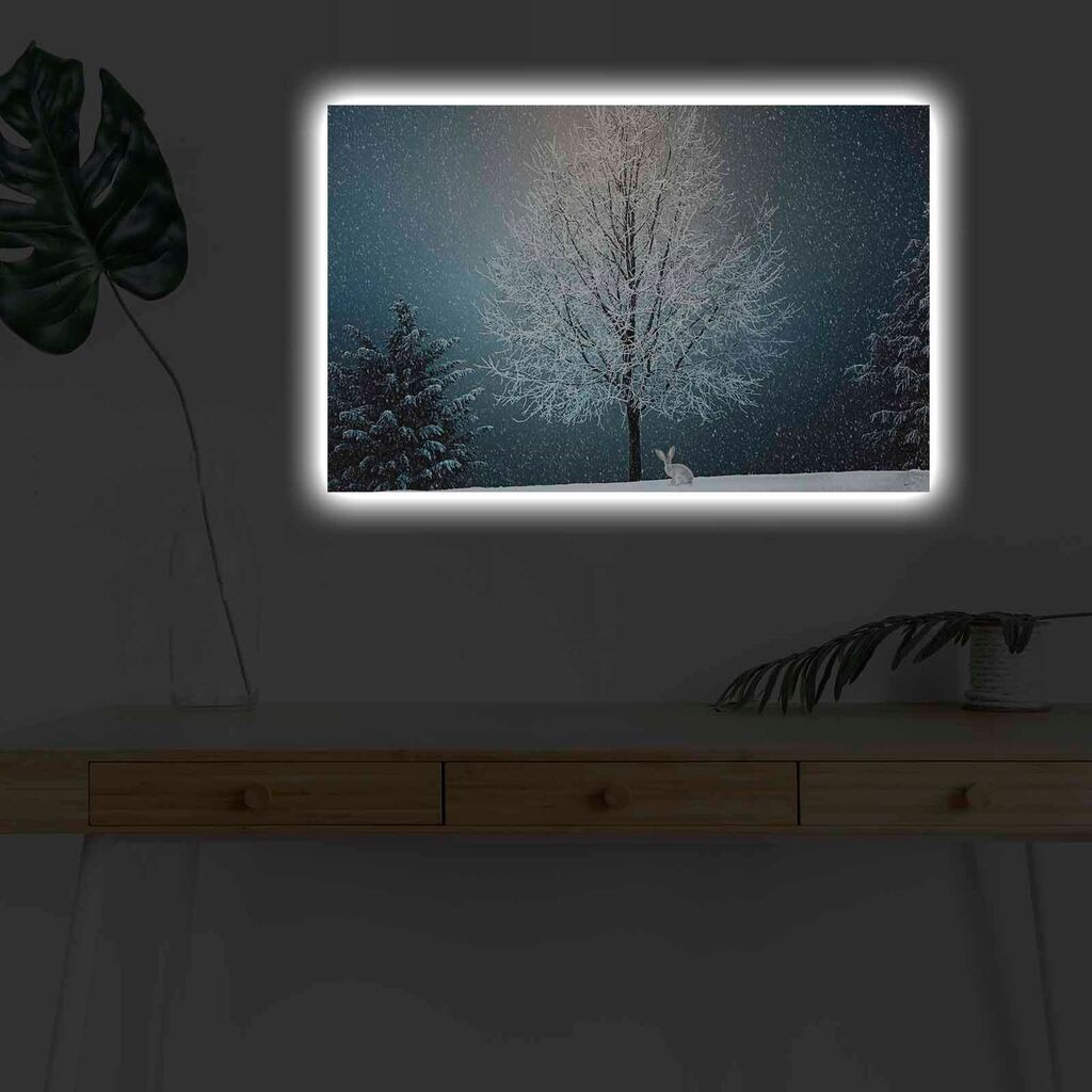 Zidna slika sa LED osvjetljenjem 4570KARDACT - 009, 45x70 cm