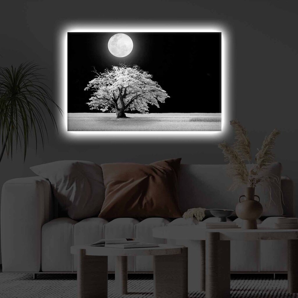 Zidna slika sa LED osvjetljenjem 4570KTLGDACT - 022, 45x70 cm