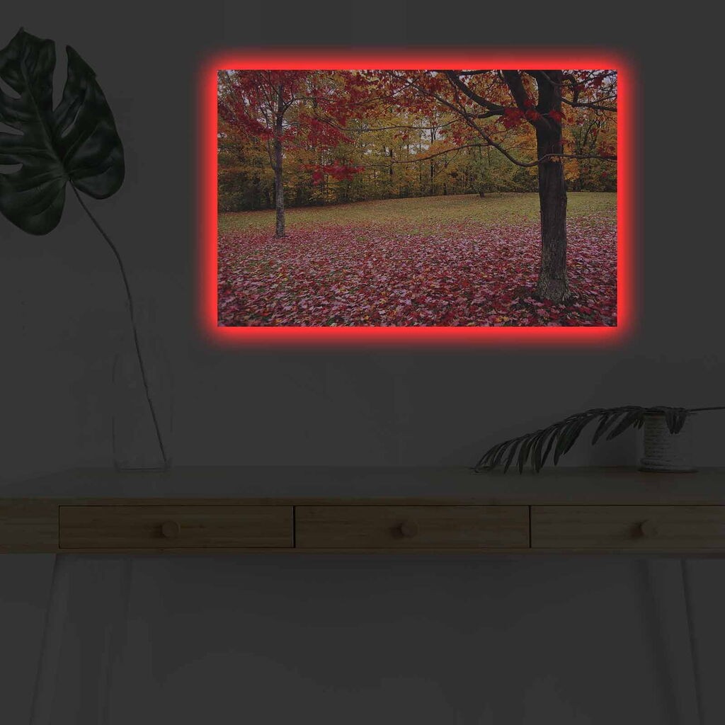 Zidna slika sa LED osvjetljenjem 4570DHDACT-041, 45x70 cm