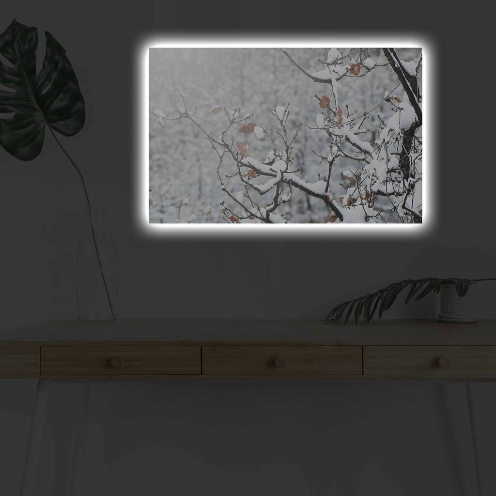 Zidna slika sa LED osvetljenjem 4570DHDACT-029, 45x70 cm