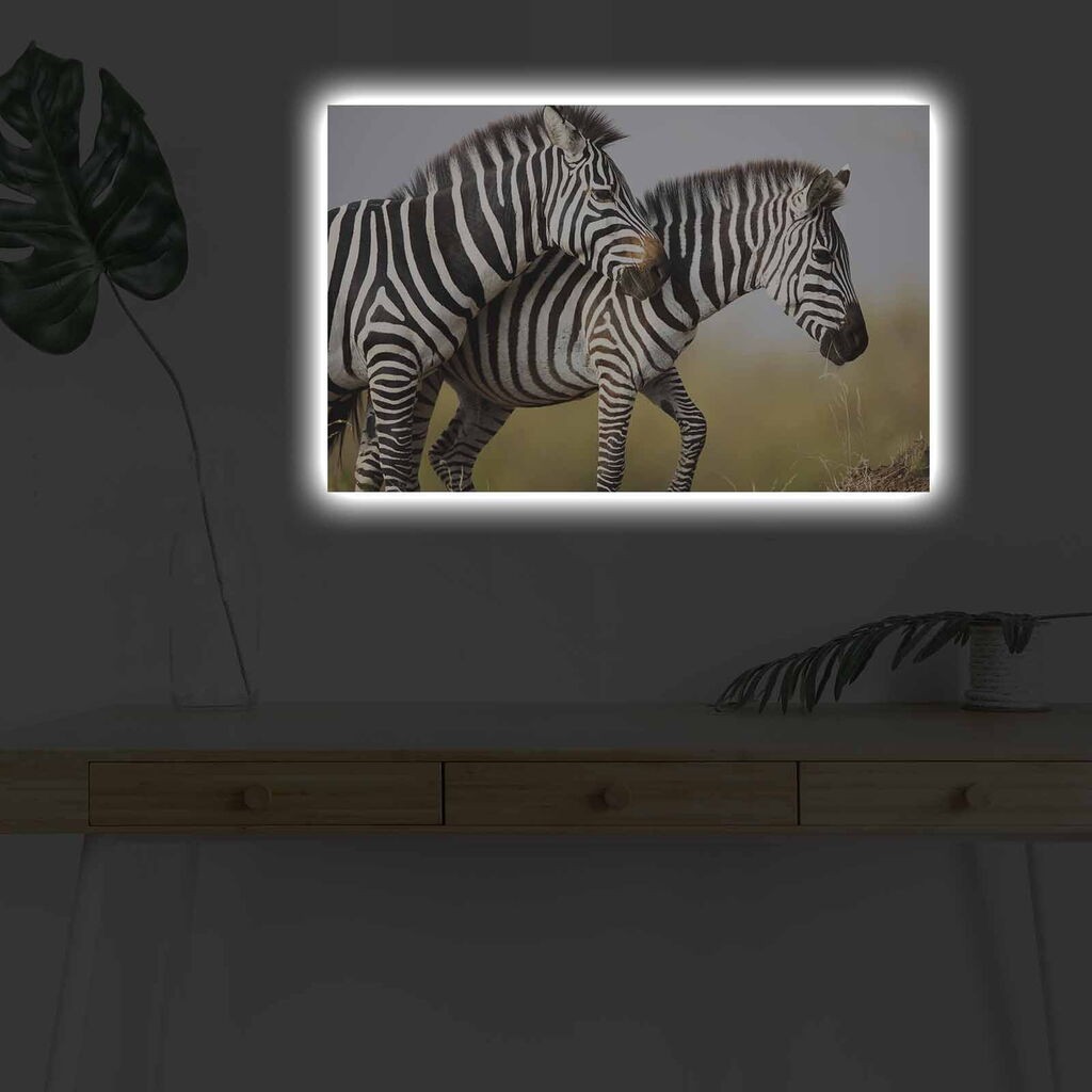 Zidna slika sa LED osvetljenjem 4570DHDACT-085, 45x70 cm