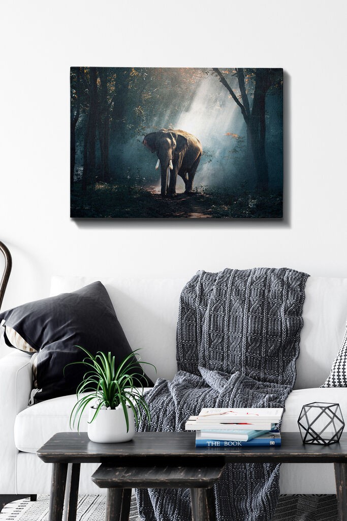 Wallity Slika na platnu Tablo-153, 50x70 cm