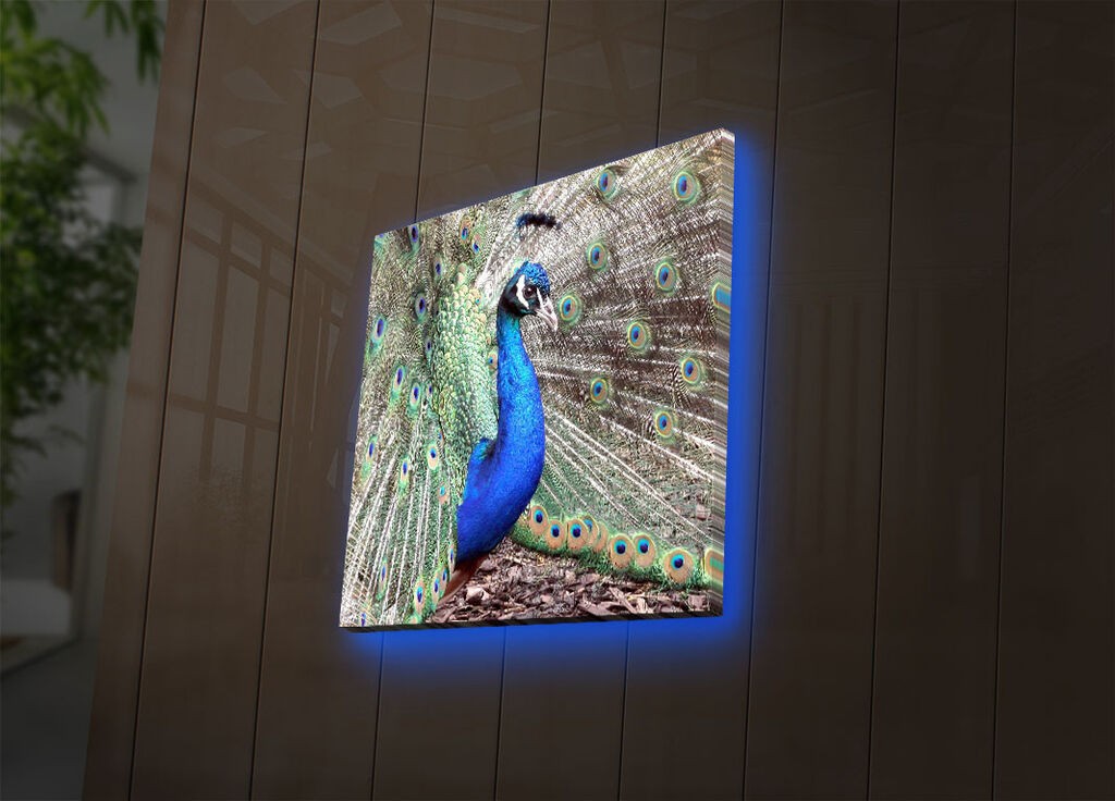 Zidna slika sa LED osvetljenjem 4040DACT-45, 40x40 cm