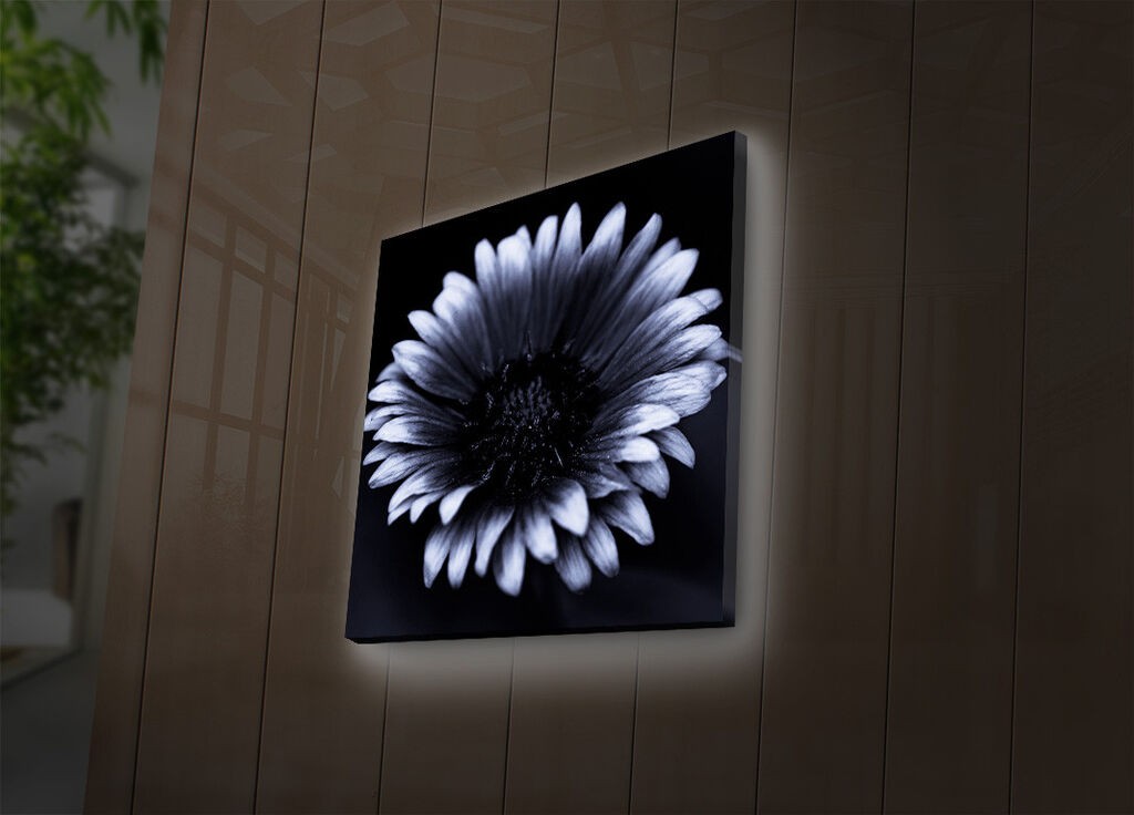 Zidna slika sa LED osvetljenjem 4040DACT-33, 40x40 cm