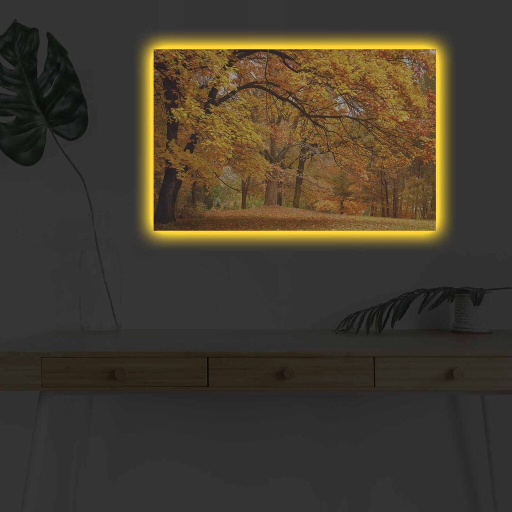 Zidna slika sa LED osvetljenjem 4570DHDACT-092, 45x70 cm