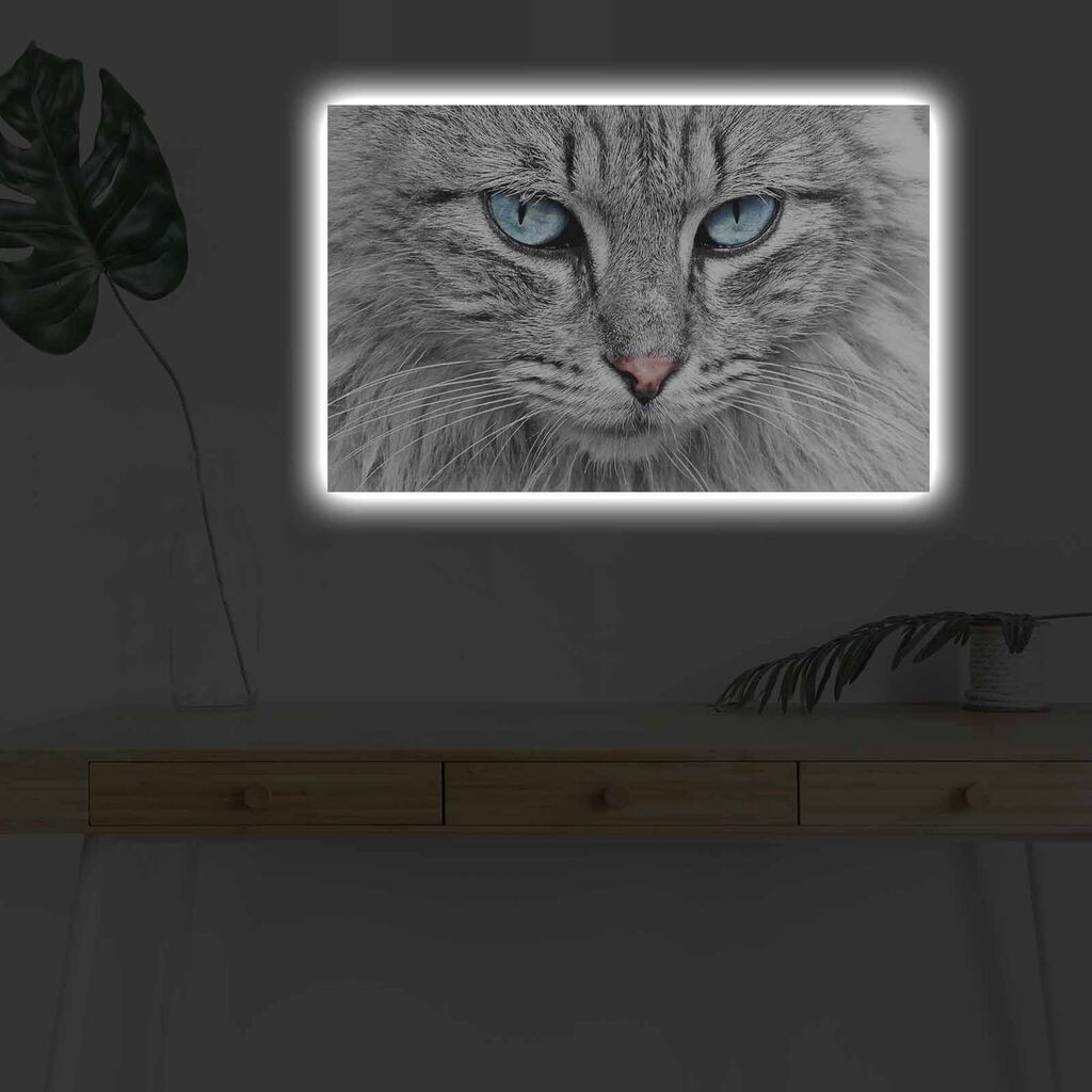 Zidna slika sa LED osvetljenjem 4570DHDACT-065, 45x70 cm