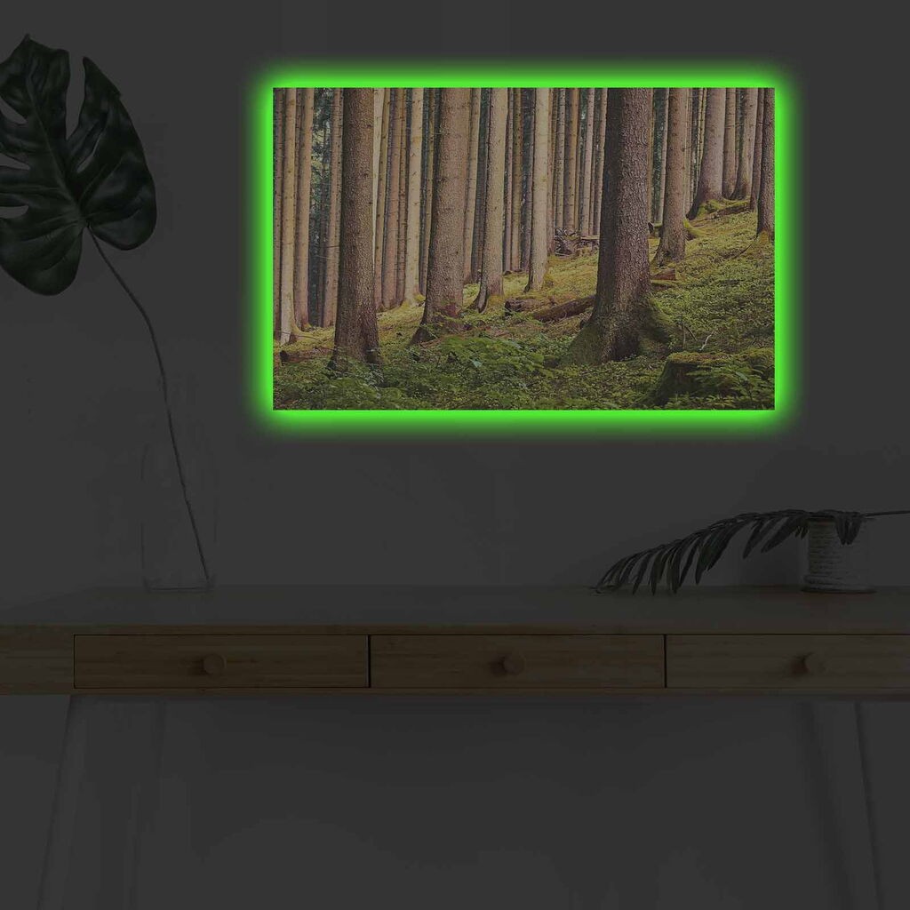 Zidna slika sa LED osvjetljenjem 4570DHDACT-010, 45x70 cm