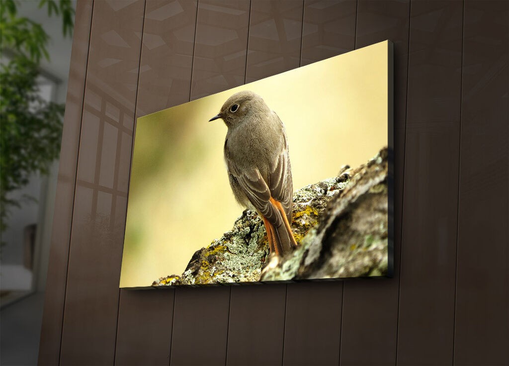 Zidna slika sa LED osvetljenjem 4570IACT-65, 45x70 cm