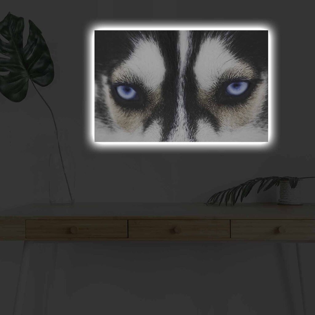 Zidna slika sa LED osvetljenjem 4570DHDACT-148, 45x70 cm