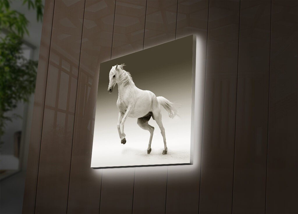 Zidna slika sa LED osvetljenjem 4040DACT-41, 40x40 cm