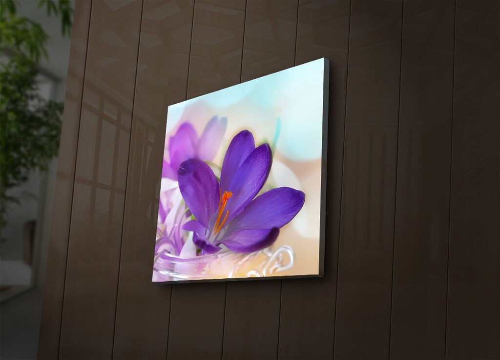 Zidna slika sa LED osvetljenjem 4040IACT-38, 40x40 cm