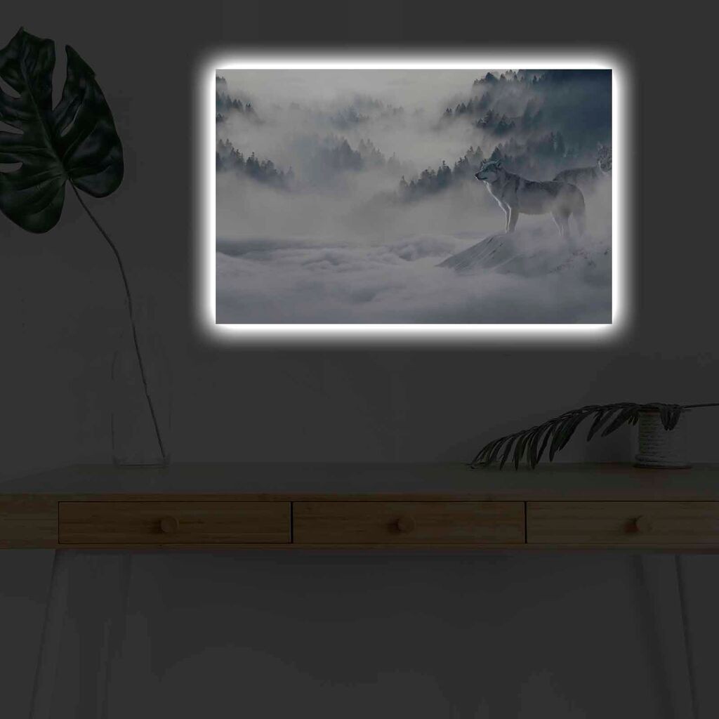 Zidna slika sa LED osvjetljenjem 4570KARDACT - 007, 45x70 cm