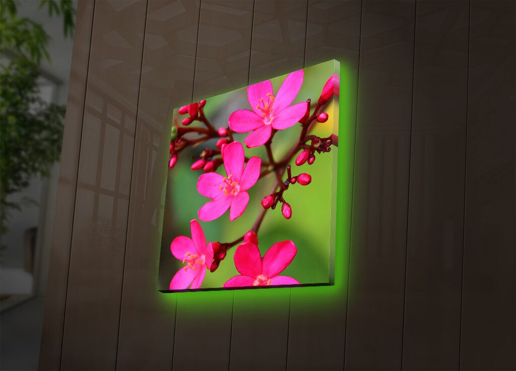 Zidna slika sa LED osvetljenjem 4040DACT-40, 40x40 cm